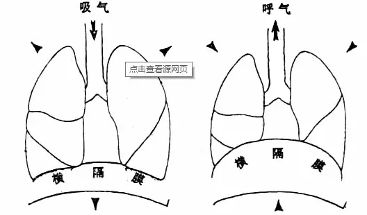 辨析传统声乐气息训练的方法的正确性