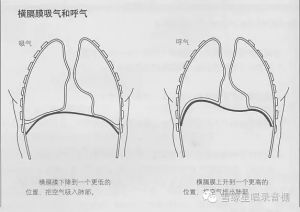 唱歌实用小技巧：写给唱歌初学者的几个建议