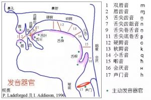 唱歌高音不破音的小技巧分享