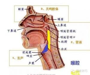 如何用关闭唱法来唱高音