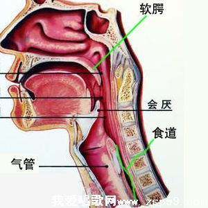 气泡音要怎么发？发气泡音嗓子不舒服该怎么办？