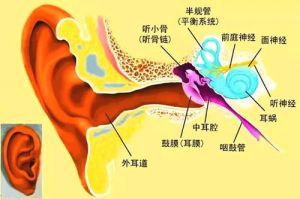 怎么样打开喉咙 打开喉咙最简单的方法