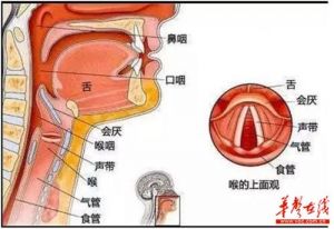 如何打开喉咙稳定喉头 打开喉咙稳定喉头视频