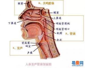 唱歌时怎样打开喉咙 初学者如何改掉喉咙唱歌