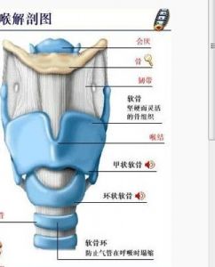 打开喉咙稳定喉头笨办法 打开喉咙气息歌唱图示