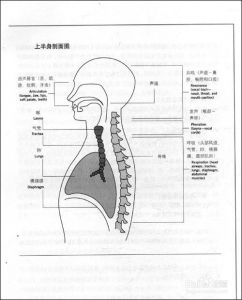 唱歌怎么练气息视频 唱歌练气息