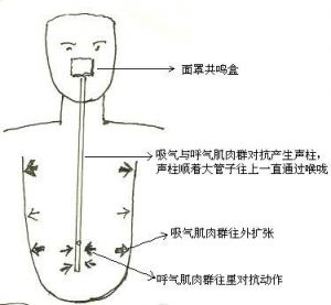 唱歌用嗓子很累怎么正确发声 唱歌怎么不用嗓子发声