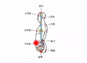 丹田在哪儿 内功真的存在吗