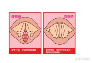 怎样不用嗓子唱歌 怎么用气息唱歌