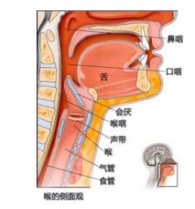 唱歌怎么把丹田和肚子分开 怎么样用丹田唱歌