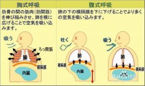 唱歌换气用鼻子还是嘴 唱rap鼻子还是嘴巴换气