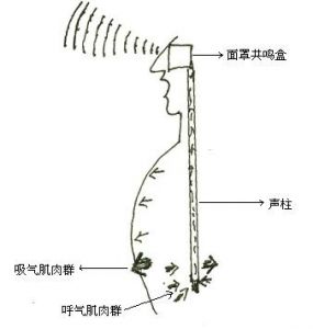 怎样用胸腔唱歌 胸腔唱歌的歌手