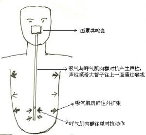 发声训练视频 发声训练网络课程