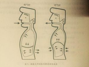 唱歌吸气吐气怎么练 唱歌怎么丹田吸气