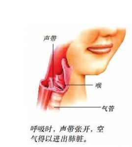 唱歌声带闭合训练 声带闭合视频