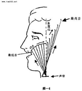 声乐头腔共鸣 唱歌三腔共鸣应该怎么练