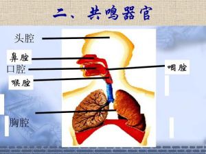 共鸣器官 怎样打开胸腔共鸣