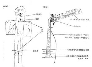 胸声和真声的区别 头声和混声