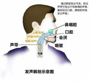 韩式气声唱法原理 什么是气声唱法