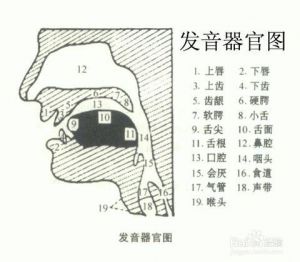 说话怎样用气发声 用气发声的要领