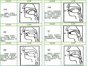 唱歌的口型发音图 th发音口型舌位图