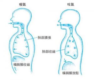 呼吸在歌唱中的重要性 小学生歌唱呼吸重要性