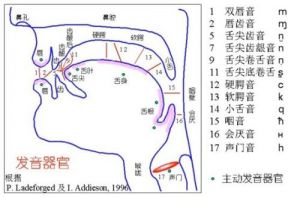 普通话吐字归音技巧视频 吐字归音对普通话的意义