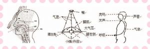 歌唱的发声高位置在那 通俗唱法唱歌发声位置