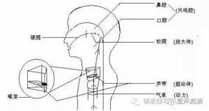 如何获得歌唱的高位置 歌唱高位置怎么回事