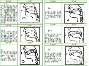 唱歌舌头正确位置有图 唱歌舌头怎么放