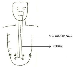 歌唱发音用力位置 位置的发音是什么