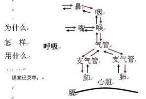 咬字与吐字的区别 解决口齿不清的小妙招