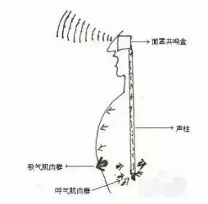 唱歌怎么练气 唱歌怎么练