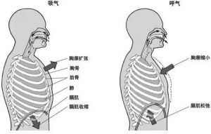 练内气最简单的方法 躺着练丹田气