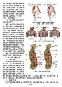 唱功如何练 怎么练唱歌发声基础教程