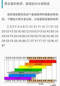 迪玛希音域 专业人士评价迪玛希