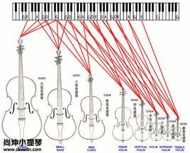 人声音域高低划分 音域图