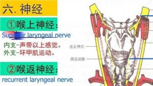 关闭式唱法怎么样关闭声带 压缩声带唱法