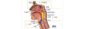 关闭唱法是什么感觉 嗨c是哪个琴键