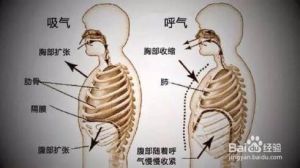 咽音唱法和面罩唱法 王菲咽音唱法