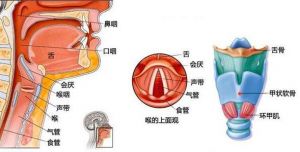 怎样可以让嗓子唱歌好听 怎样让嗓子唱歌变好听