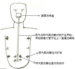 唱歌面罩共鸣示意图 ktv唱歌搞笑视频