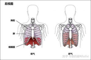 胸腔发声训练 用胸腔发音与嗓子发音