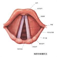 怎么判断声带受损 声带小结的最佳治疗方法