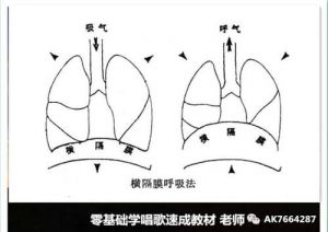 唱歌怎么缩小发声点 唱歌发声位置图解