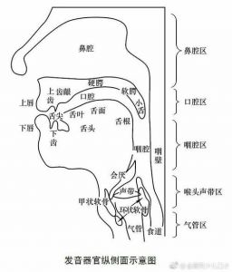 如何缩小发声点 发声点和发声位置