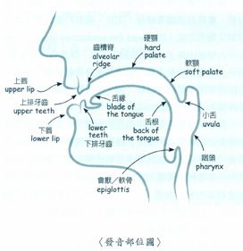 发声点位置有 怎么找发声点