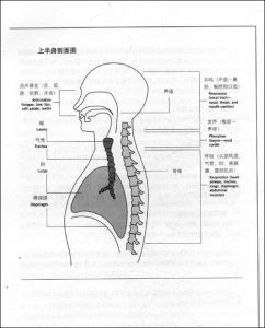 发声训练方法 发声训练百度文库