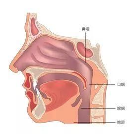 唱歌时喉咙该怎么发音 唱歌发音是喉咙还是鼻腔