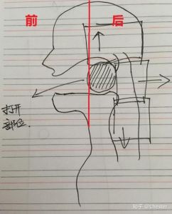 声音靠前和靠后的区别 声音靠后是什么意思